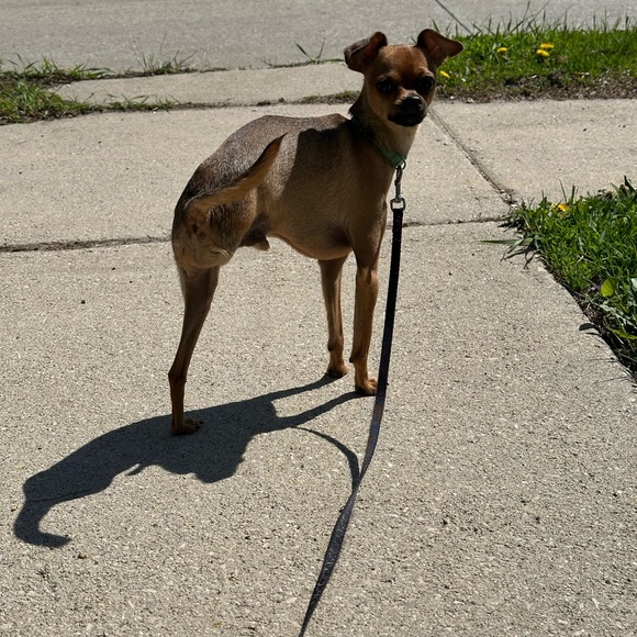 Meet Your Posher - Picture 2 of 3